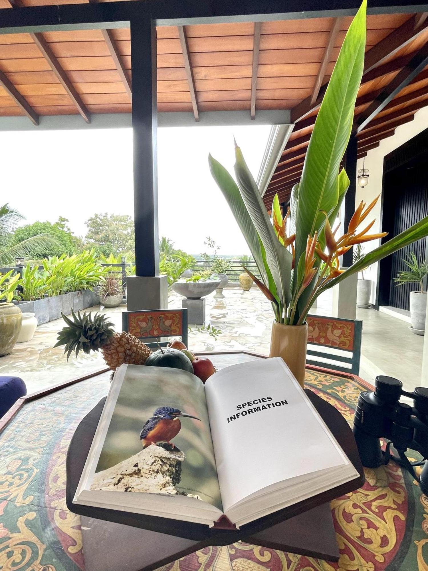 D' Art Villa Retreat And Spa Tangalle Εξωτερικό φωτογραφία